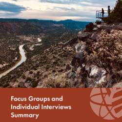 Appendix: Focus Groups and Individual Interviews Summary thumbnail icon